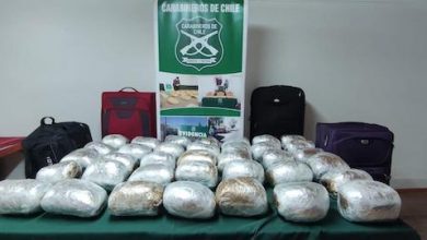 Photo of Millonaria carga de marihuana decomisa OS7 Carabineros El Loa