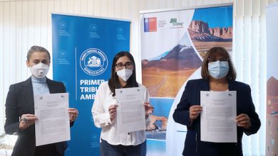 Photo of Primer Tribunal Ambiental y CONAF firman Convenio de Colaboración que permitirá acciones conjuntas de protección medioambiental