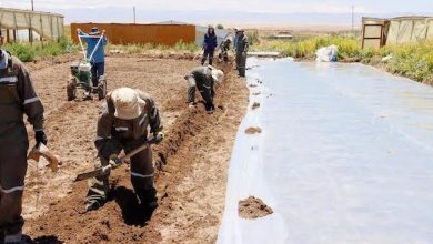 Photo of FIA propone primer programa nacional de cooperativas integral para la Política Rural de Gobierno