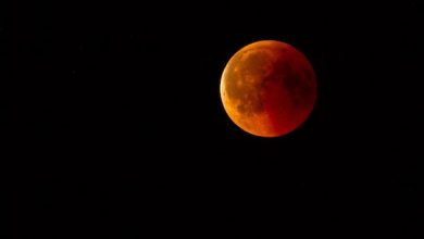 Photo of Eclipse lunar y luna de sangre: el espectáculo astronómico del fin de semana