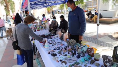 Photo of Artesanos y agricultores de Calama y Alto Loa se convocan en Expo Patrimonial Rural