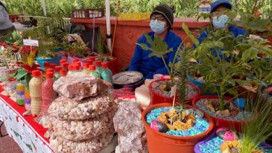 Photo of Feria de Suculentas y Artesanías se realizará este fin de semana en el Parque El Loa