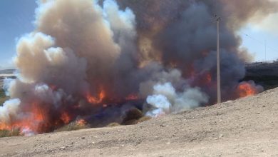 Photo of Interponen querella contra quienes resulten responsables por incendio en la ladera del río Loa en el sector Yalquincha