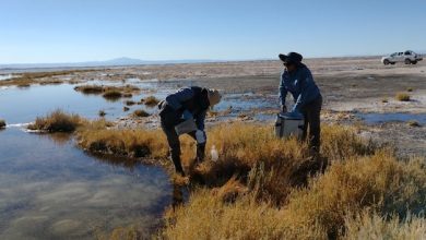 Photo of PROYECTO HIDROLÓGICO BUSCA PROTEGER Y CONSERVAR LAGUNAS ALTIPLÁNICAS