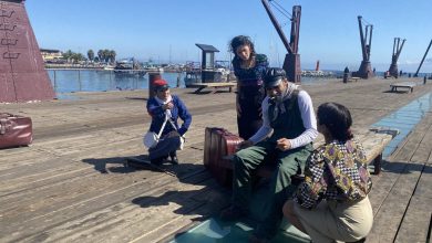 Photo of Completo panorama para celebrar Día del Patrimonio