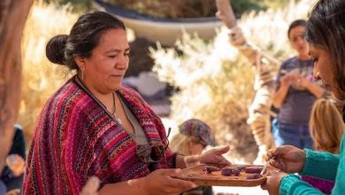 Photo of Realizan talleres sobre Algarrobos y Chañares en San Pedro de Atacama