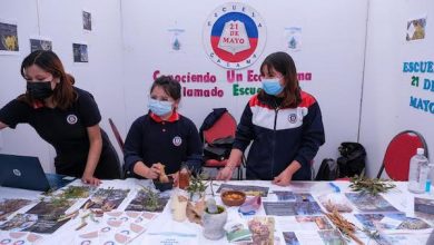 Photo of Feria Medioambiental congregó a más de 600 estudiantes representantes de organizaciones ciudadanas y trabajadores(as)
