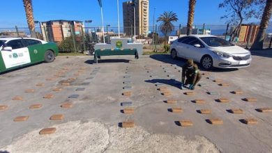 Photo of Más de 665  millones de pesos en drogas incauta Carabineros