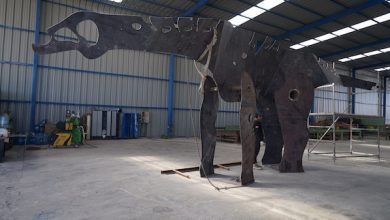 Photo of El Abra colabora con fondos para construir réplica de dinosaurios autóctonos de la zona