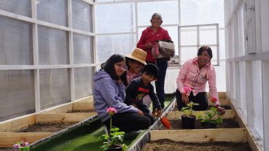Photo of Comunidad Quechua de Cebollar Ascotán construyó vivero  con Fondo Ambiental de Minera El Abra