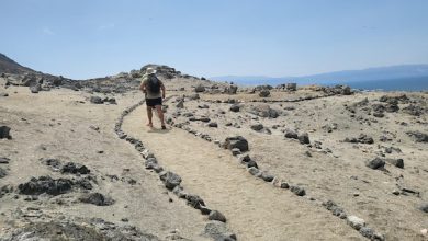 Photo of ANTOFAGASTA Y SUS ÁREAS SILVESTRES: CONOCE Y PROTÉGELAS