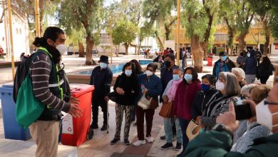 Photo of Corporación de Cultura y Turismo da inicio a “La Ruta del Arbolado Calameño” junto a adultos mayores de la comuna