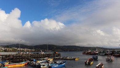 Photo of Enfoque de género en la pesca artesanal: inician estudio de proyecto que visibiliza el rol de las mujeres del sector