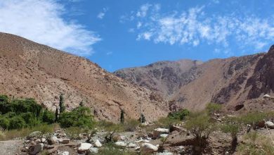 Photo of Impulsan consulta ciudadana de estrategia de desarrollo de capacidades y empoderamiento climático