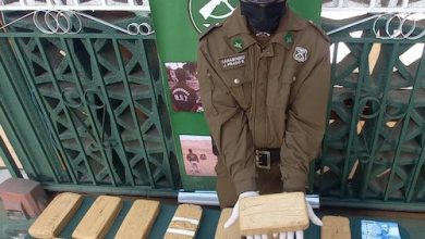 Photo of Can antidrogas FUCSIA de Carabineros detecta más de 123 mil dosis de drogas en menos de una hora