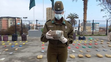 Photo of Más de 670 mil dosis de drogas incauta carabineros en tres puntos de la Ruta 5 Norte