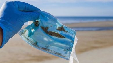 Photo of Eliminación de mascarillas en lugares públicos: norma será complementada con indicaciones