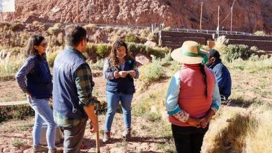 Photo of Hongos podrían recuperar producción  de ajos en Río Grande