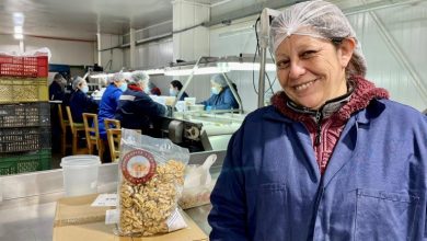 Photo of Premio Nacional de la Mujer Innovadora en Agricultura ya inició su convocatoria