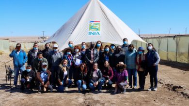 Photo of CORES conocen avances de proyecto FNDR para el control de maleza que impide la agricultura en las tierras de la Provincia El Loa