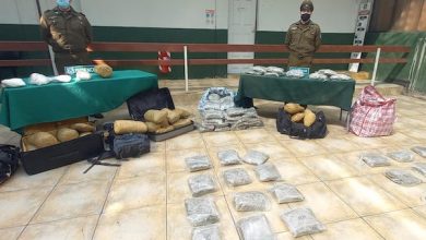 Photo of Carabineros logra millonario decomiso de droga