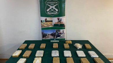 Photo of ¡Einar lo hizo otra vez! Descubrió mochilas con pasta base en bus con destino a Santiago