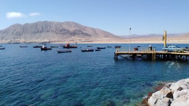 Photo of Sernapesca reafirma su labor en el Día de la Lucha contra la Pesca Ilegal