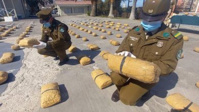Photo of Carabineros decomisa más de media tonelada de droga en Calama