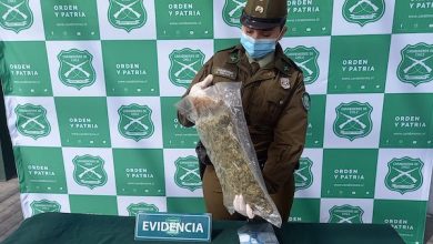Photo of Carabineros desarticula Organización Criminal dedicada al tráfico de drogas