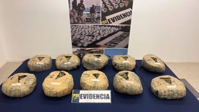 Photo of PDI y Fiscalía logran incautar más de 50 kilos de droga en tres procedimientos