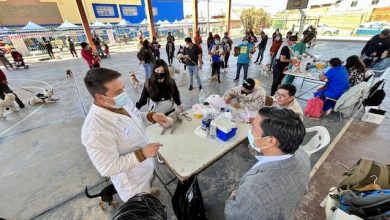 Photo of Gobierno en Terreno se desplegó en la población 23 de Marzo