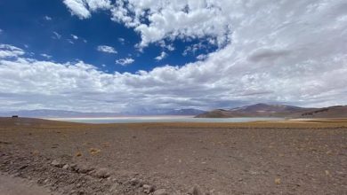 Photo of Finaliza proyecto que genera un sistema de alerta temprana en los humedales altoandinos del Salar de Maricunga.