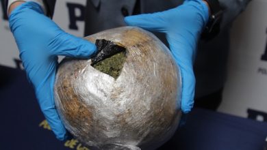 Photo of PDI logra incautar más de 13 kilos de droga en dos procedimientos