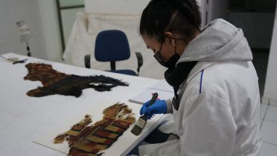 Photo of El Abra apoya conservación del patrimonio arqueológico en Museo de Historia Natural de Calama