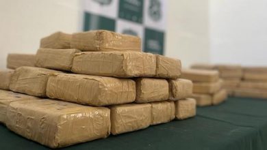 Photo of Carabineros decomisa 500 millones de pesos en pasta base de cocaína