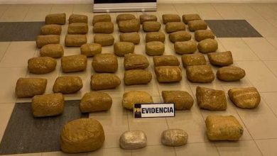 Photo of Más de 53 kilos de drogas fueron incautados gracias a los canes “Dexter y Anker“ de la PDI Calama