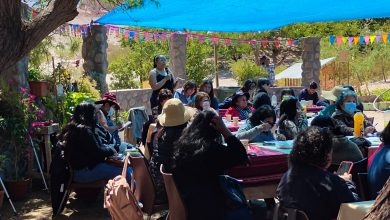 Photo of Tema sanitario marcó la pauta en Mesa de la Mujer Rural e Indígena del Valle de Puques