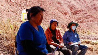 Photo of Promueven la biofumigación en terrenos loínos afectados por enfermedades de suelo
