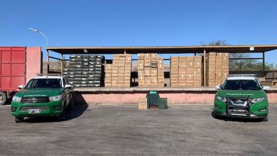 Photo of Carabineros de Quillagua incauta 227 mil cajetillas ilícitas de cigarrillos