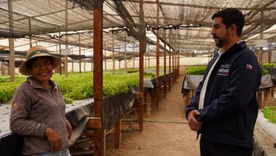 Photo of Director nacional de INDAP llegó al nuevo Mercado Campesino del emblemático Altos La Portada en su primera visita a Antofagasta