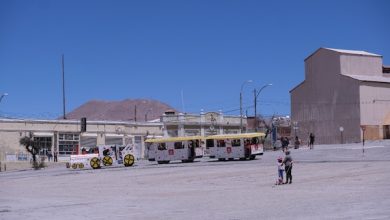 Photo of Chuquicamata se viste de Primavera en este 2022