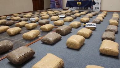 Photo of Operación Vilama II: PDI logra la incautación de más de 430 millones de pesos en droga
