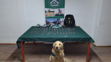 Photo of OS7  detecta ovoides de droga en bus interprovincial