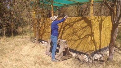 Photo of FCAB apoya creación de Granja Apícola en el corazón del Oasis de Calama