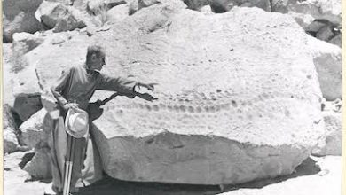 Photo of Resguardan archivo fotográfico del Padre Gustavo Le Paige