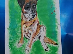 Photo of “MI MASCOTA LUCAS”: C.E.I.A. REALIZÓ CONCURSO DE DIBUJO RETRATANDO AL PERRITO DEL ESTABLECIMIENTO