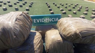 Photo of Más de cien kilos de marihuana y 5 detenidos en operativo OS7
