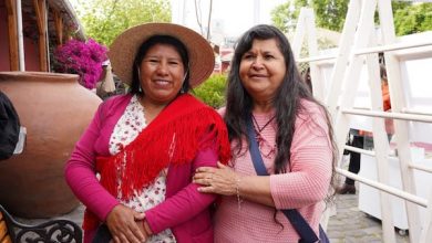 Photo of Ministerio de Agricultura impulsará planes de acción para resguardar materias primas de artesanos nacionales