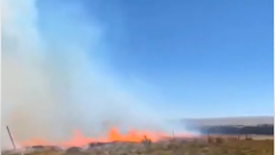 Photo of Incendio forestal en Chiu Chiu moviliza a bomberos Calama