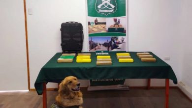 Photo of Detectan más de 20 kilos de drogas en dos días de controles carreteros desde la  garita provisoria